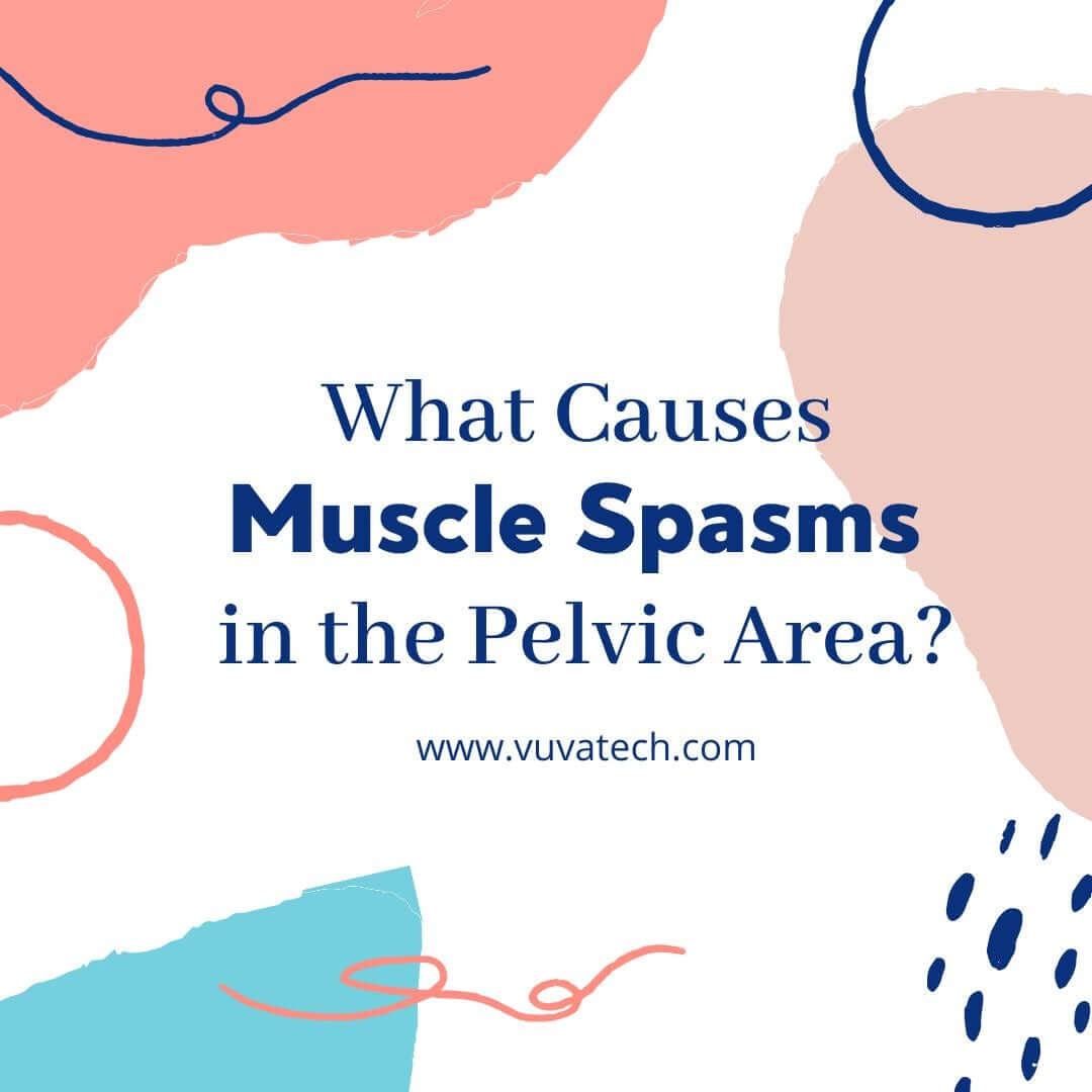 vibrating feeling in pelvic region female What You Should Know About The Pudendal Nerve main image 1