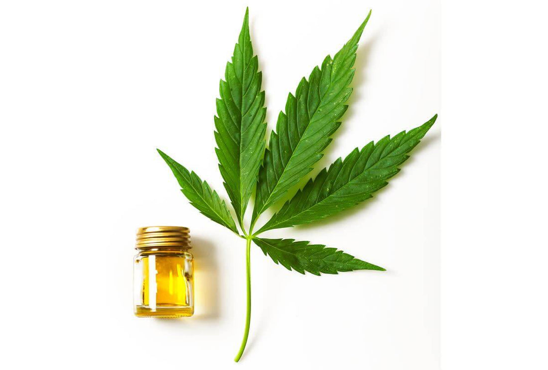How CBD Products Can Benefit Your Sex Life