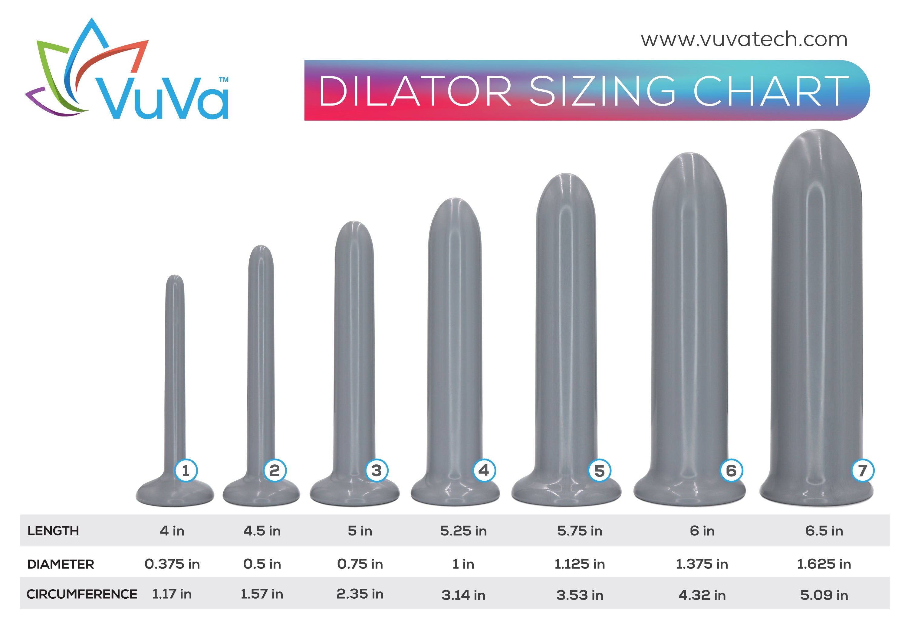 Anal Dilator Size Charts